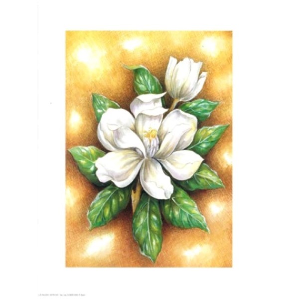 Image 3D - astro 567 - 24x30 - Fleur blanche - Photo n°1