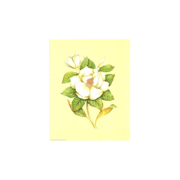 Image 3D astro 389 - 24x30 - fleur blanche fond jaune - Photo n°1