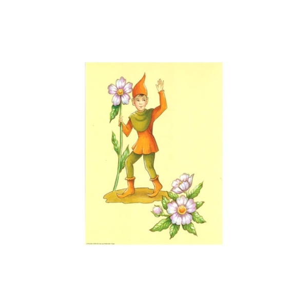 Image 3D - astro 559 - 24x30 - lutin avec fleurs - Photo n°1