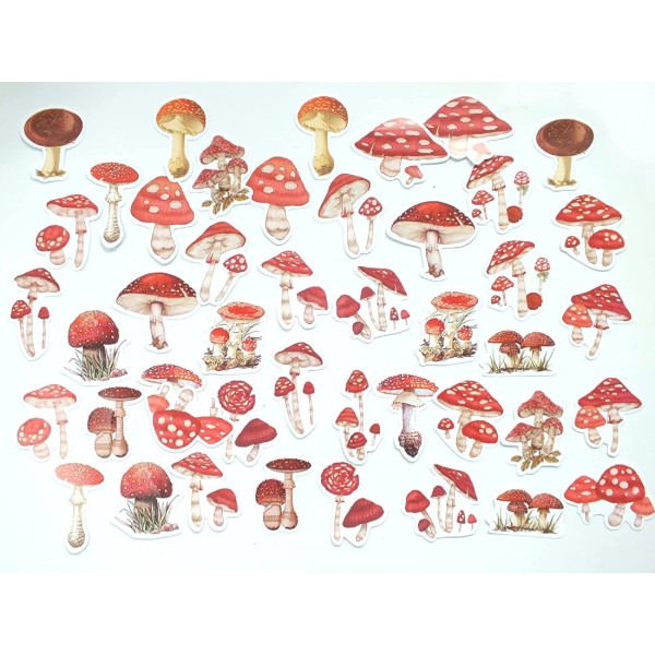LOT DE 45 STICKERS  ( pack de 4 * 4 cm ): illustrations champignon amanite phalloide - Photo n°1