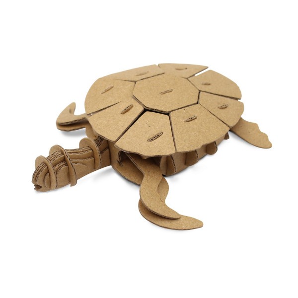 Petite tortue en carton - A assembler - CTOP - Photo n°1