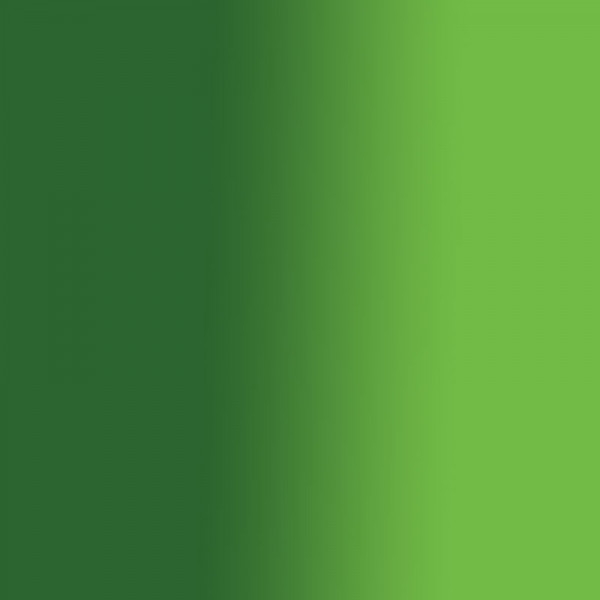 Sennelier - Peinture à l'huile - Extra-fine - Vert de vessie - N 819 - Tube de 40ml - Photo n°2