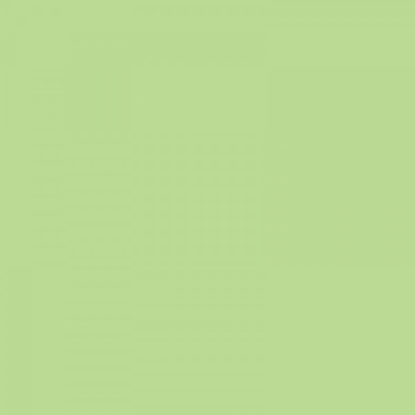 Carton de couleur vert clair A4 170 g 50 feuilles - Apli - Photo n°2