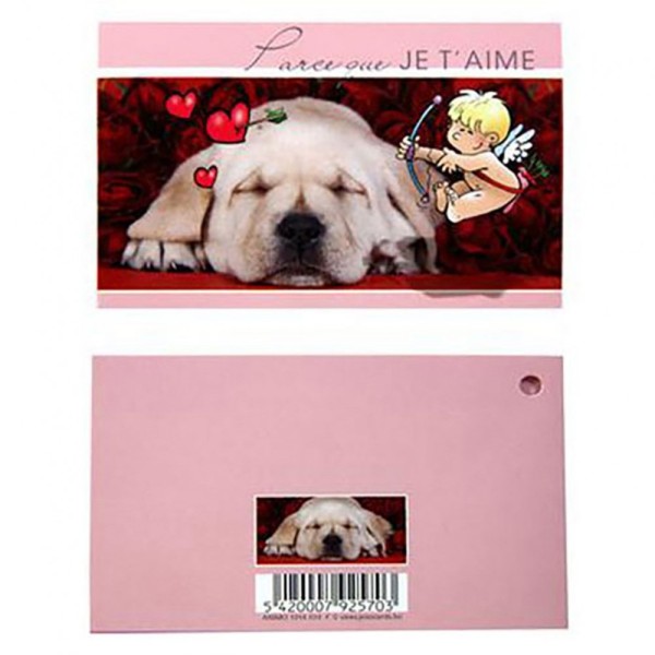 Emballages carte de voeux  animaux (10 pièces) Rose pale - Photo n°1