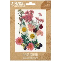 Fleurs pressées - Prairie - Rose - 16 pcs
