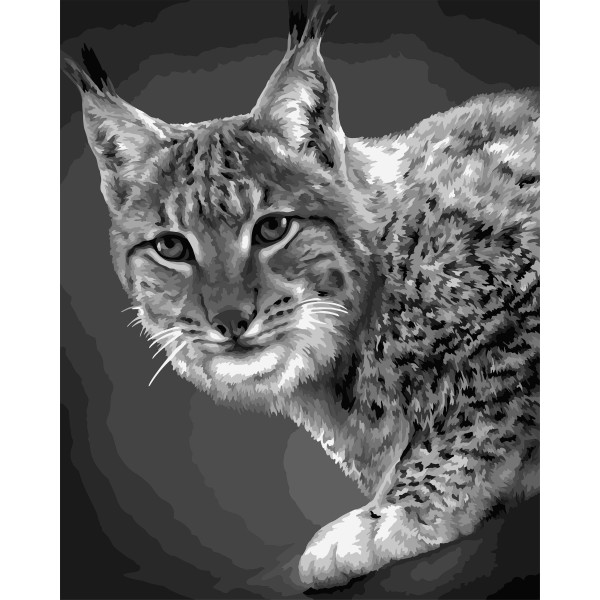 Kit de peinture par numéros. Lynx de F008 40*50 - Photo n°1