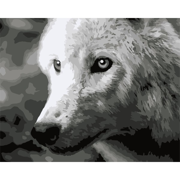 Kit de peinture par numéros. F011 Loup blanc 40*50 - Photo n°1