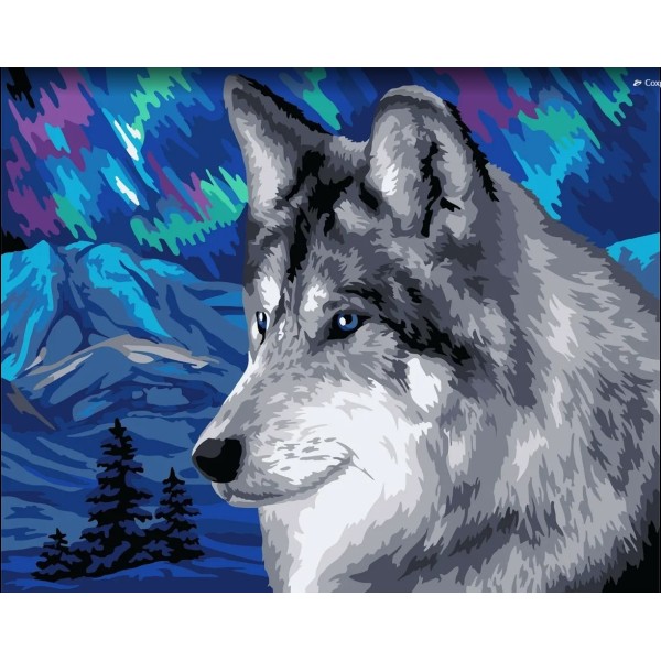 Kit de peinture par numéro. Loup polaire 40x50 cm H150 - Photo n°1