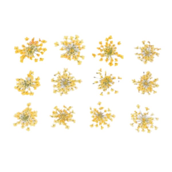 1 Set (12pcs) Fleurs jaunes Diy moule époxy Set Flower Plate Dry Durable 1-1.5cm 1.5-2.5cm - Photo n°1