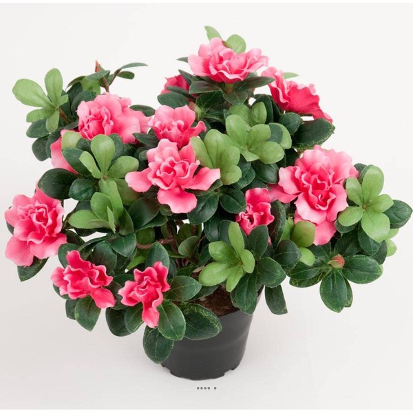 Azalee artificielle en pot H 25 cm D 30 cm qualité top Rose fushia - Photo n°1