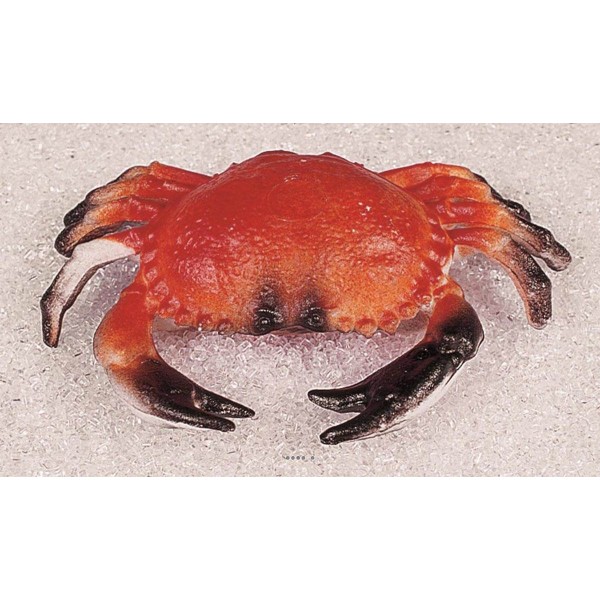 Crabe artificiel en Plastique soufflé L 200x130 mm - Photo n°1