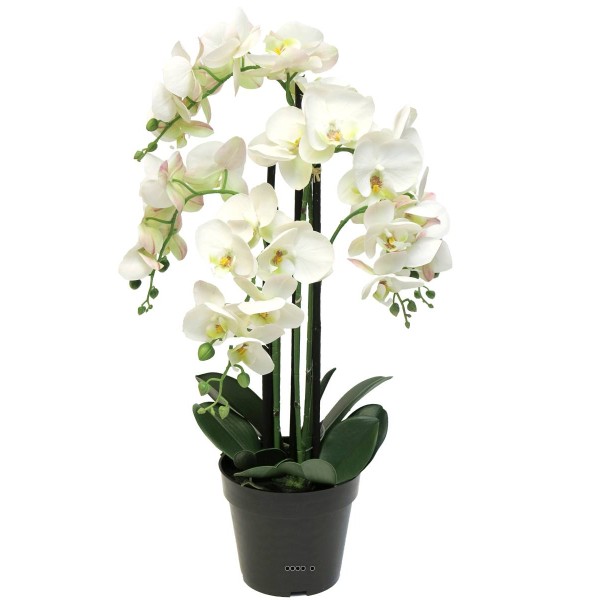 Orchidée Phalaenopsis factice en pot qualité déco H60cm Crème - BEST - Photo n°2
