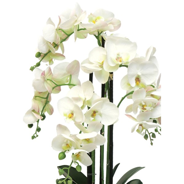 Orchidée Phalaenopsis factice en pot qualité déco H60cm Crème - BEST - Photo n°3