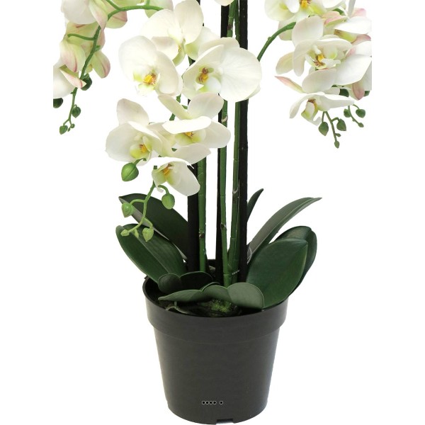 Orchidée Phalaenopsis factice en pot qualité déco H60cm Crème - BEST - Photo n°4