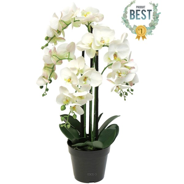 Orchidée Phalaenopsis factice en pot qualité déco H60cm Crème - BEST - Photo n°1