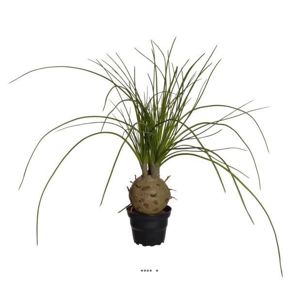 Palmier Beaucarnea artificiel en pot H 45 cm D 45 cm Très original - Photo n°1