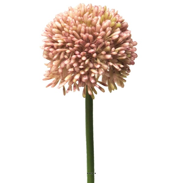 Allium artificiel en tige H 45 cm Rose - BEST - Photo n°2