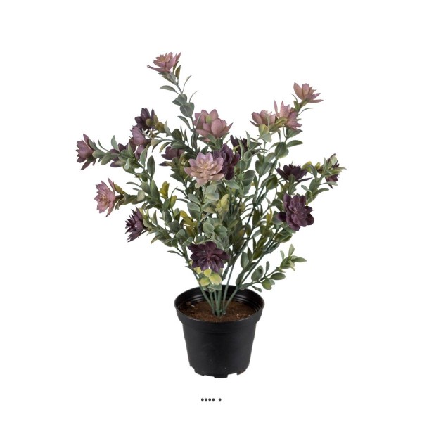 Succulente fleurie factice en pot cactée Violet H30cm D25cm plastique - Photo n°1