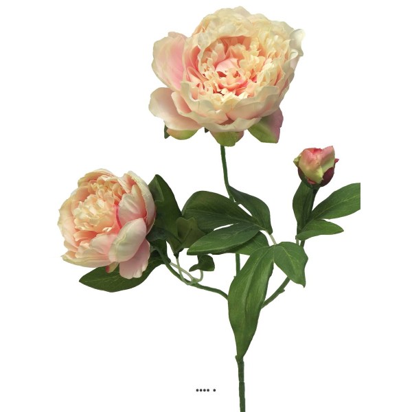 Pivoine artificielle ramifiée, 3 têtes, H 70 cm Rose pâle - BEST - Photo n°2
