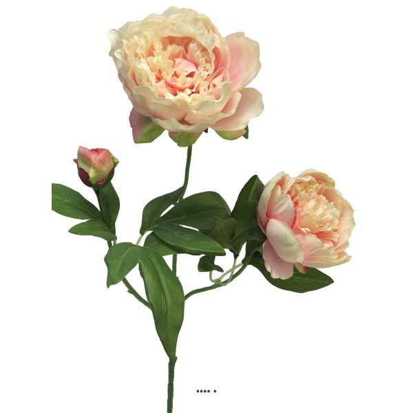 Pivoine artificielle ramifiée, 3 têtes, H 70 cm Rose pâle - BEST - Photo n°3