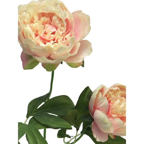 Pivoine artificielle ramifiée, 3 têtes, H 70 cm Rose pâle - BEST - Photo n°4