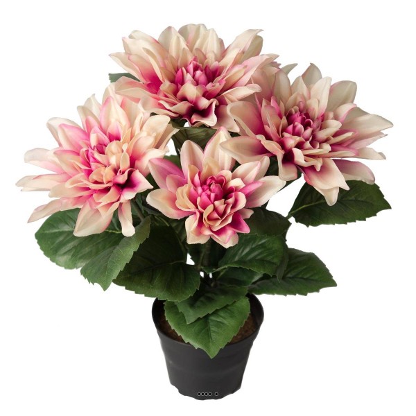 Dalhia commun artificiel en pot, 5 fleurs, H 30 cm Rose-crème - Photo n°1