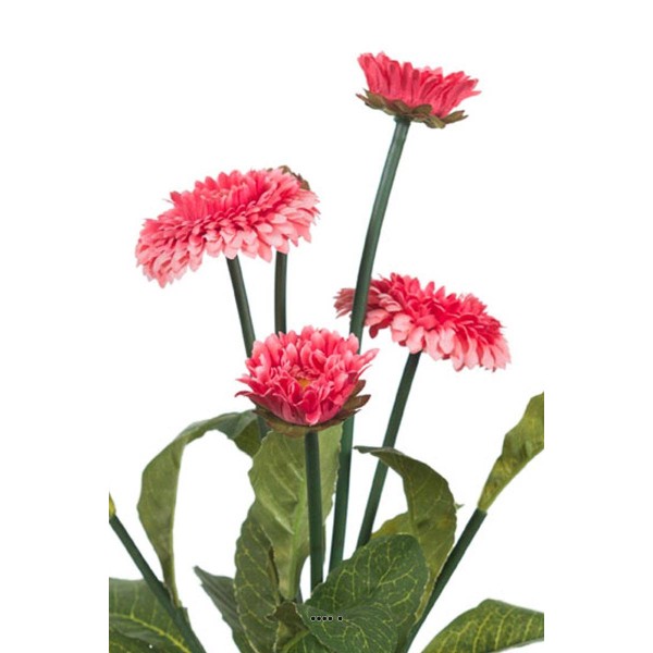 Bellis perennis, paquerettes artificielles en pot H 30 cm Rose soutenu - Photo n°3