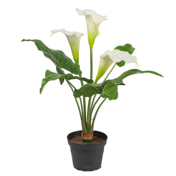 Arum calla artificiel en pot, 3 têtes de fleurs, H 40 cm Crème - Photo n°1