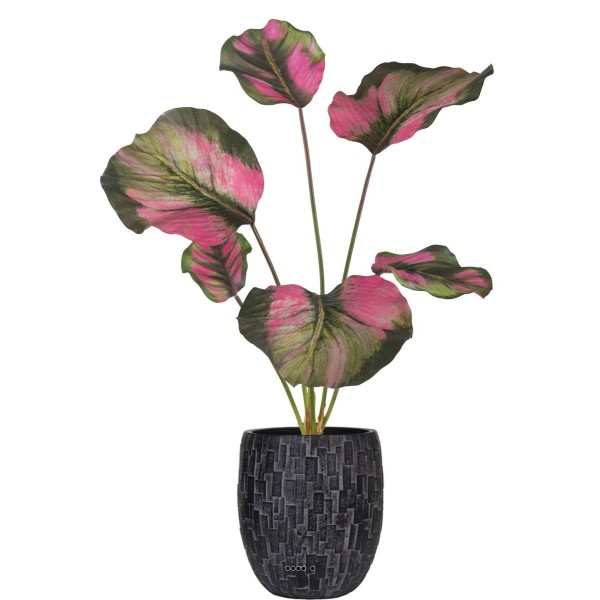 Calathea artificielle en pot, grandes feuilles, H 55 cm Vert-rose - Photo n°2