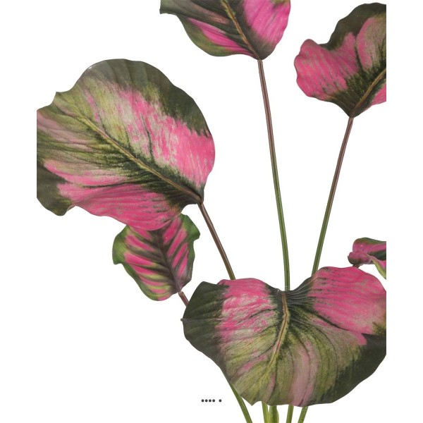 Calathea artificielle en pot, grandes feuilles, H 55 cm Vert-rose - Photo n°3
