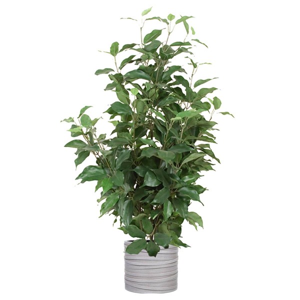 Ficus Benjamina artificiel en pot, H 80 cm, D 43 cm - Photo n°2