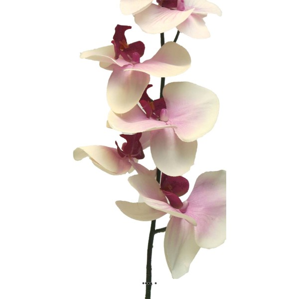 Tige d’orchidée phalaenopsis artificielle, H78 cm Pourpre-blanc - BEST - Photo n°3
