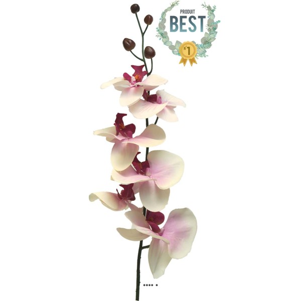 Tige d’orchidée phalaenopsis artificielle, H78 cm Pourpre-blanc - BEST - Photo n°1
