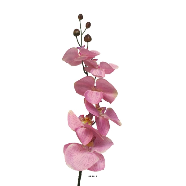 Tige d’orchidée phalaenopsis artificielle, H 78 cm Rose - BEST - Photo n°2