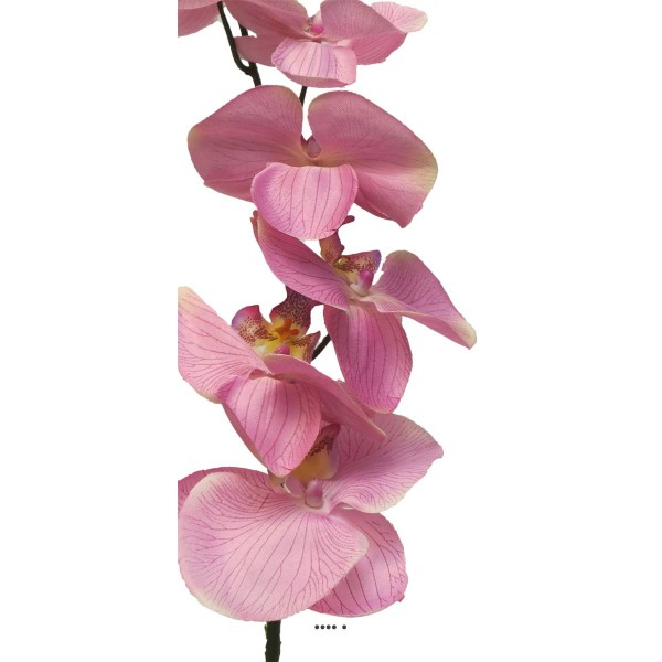 Tige d’orchidée phalaenopsis artificielle, H 78 cm Rose - BEST - Photo n°3