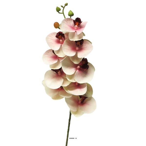 Tige orchidée phalaenopsis Factice 9 fleurons H77cm Pourpre-blanc-BEST - Photo n°2