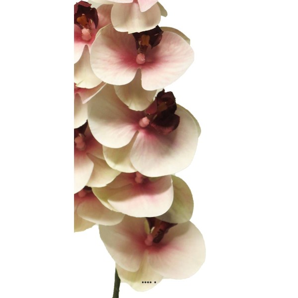 Tige orchidée phalaenopsis Factice 9 fleurons H77cm Pourpre-blanc-BEST - Photo n°3