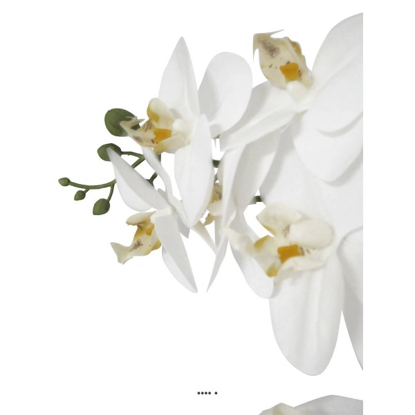 Orchidée phalaenopsis faux 2hampes 14fleurons en pot H60cm D20cm Crème - Photo n°3