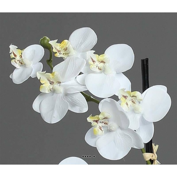 Orchidée phalaenopsis artificielle en pot céramique, H 30 cm Crème - Photo n°2