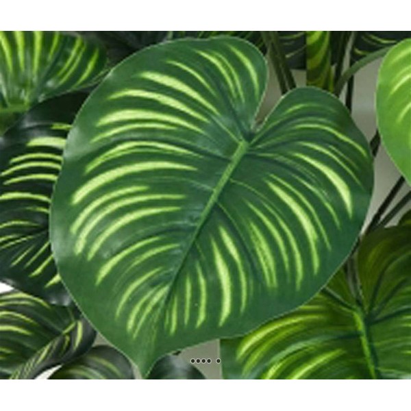 Calathea artificiel en piquet 22 feuilles, H 45 cm Vert - Photo n°3