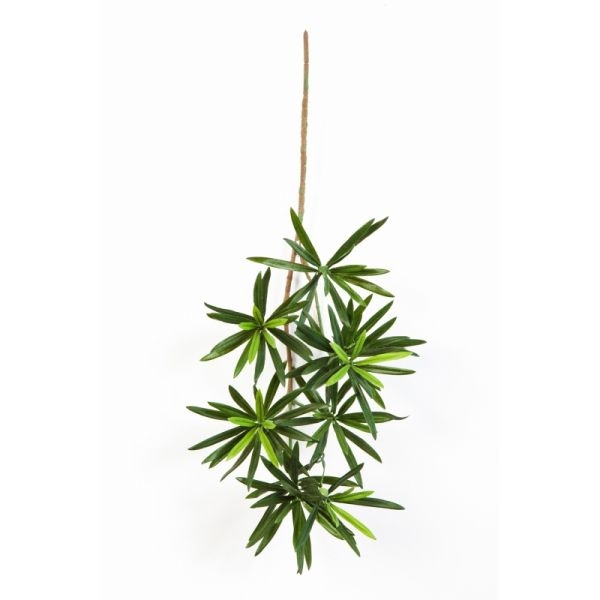 Podocarpus artificiel en piquet 137 feuilles, H 53 cm Vert - Photo n°1