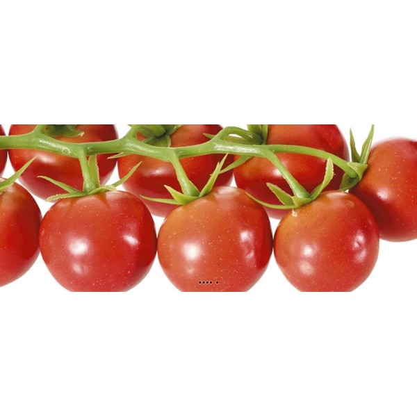 Grappe de 9 petites tomates artificielles en plastique D 20x10 cm Rouge - Photo n°2