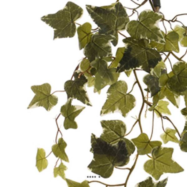Chute de lierre artificiel L 84cm 88 feuilles vert-blanc - Photo n°3