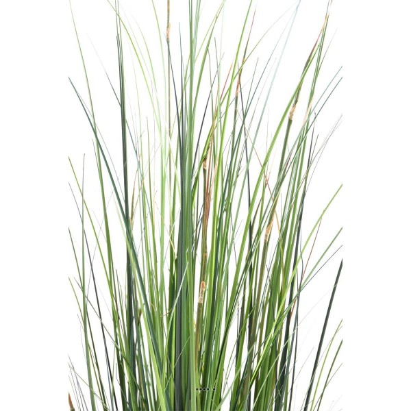 Graminée en pot artificielle Herbe à oignon bambou H 120 cm Vert - Photo n°2