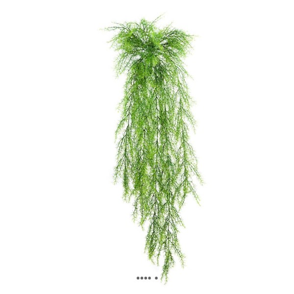 Chute d'asparagus sprengeri artificiel L 75 cm lg 30 cm plastique - Photo n°1