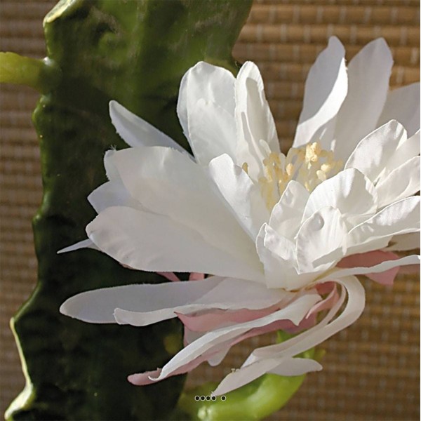 Joli cactus cierge artificiel en piquet H 52 cm avec sa fleur Crème - Photo n°2