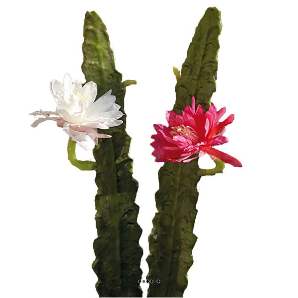 Joli cactus cierge artificiel en piquet H 52 cm avec sa fleur Crème - Photo n°3