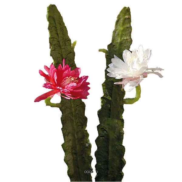 Joli cactus cierge artificiel en piquet H 52 cm avec sa fleur Crème - Photo n°1