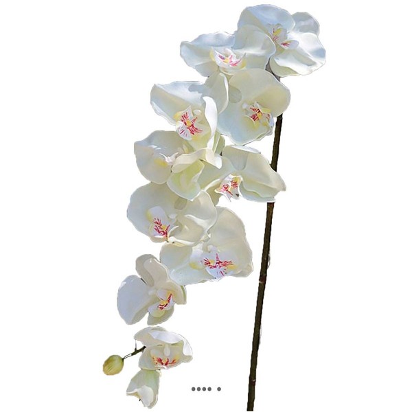 Superbe tige d'orchidée artificielle toucher réel 10 fleurons 110 cm Crème - Photo n°2