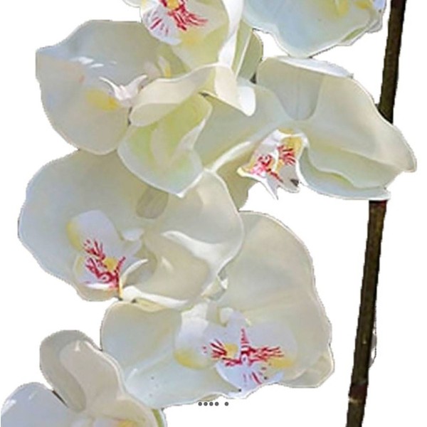 Superbe tige d'orchidée artificielle toucher réel 10 fleurons 110 cm Crème - Photo n°3